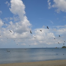 A beautiful world, one we have to preserve