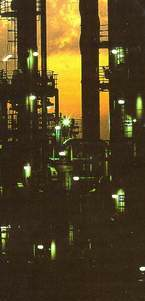 KV-plant-3.jpg
